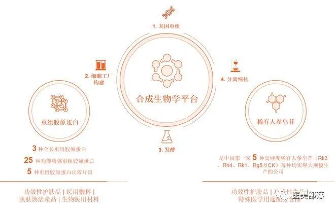 巨子生物：旗下"欣苷"品牌发布，开启"抗衰"全新时代