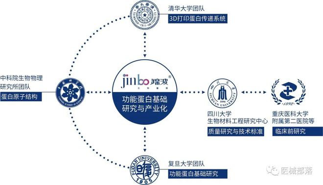 锦波生物：旗下薇旖美至真重磅上市，开启胶原抗衰"活性新生"时代