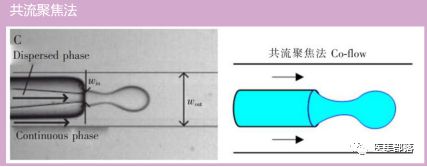 童颜针：全面揭秘"童颜针"的前世今生