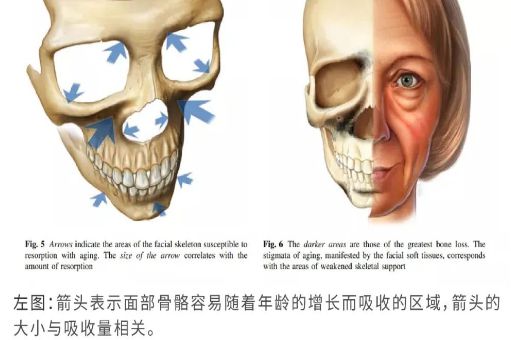 科普：解密「三相衰老」的真相